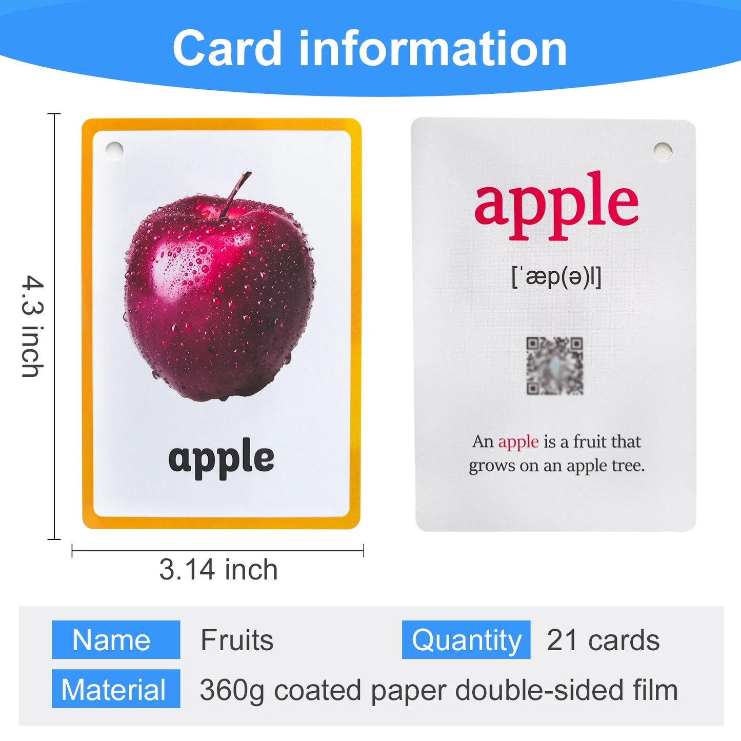 Tarjetas Montessori para Aprender Inglés – Juguetes Educativos para Niños