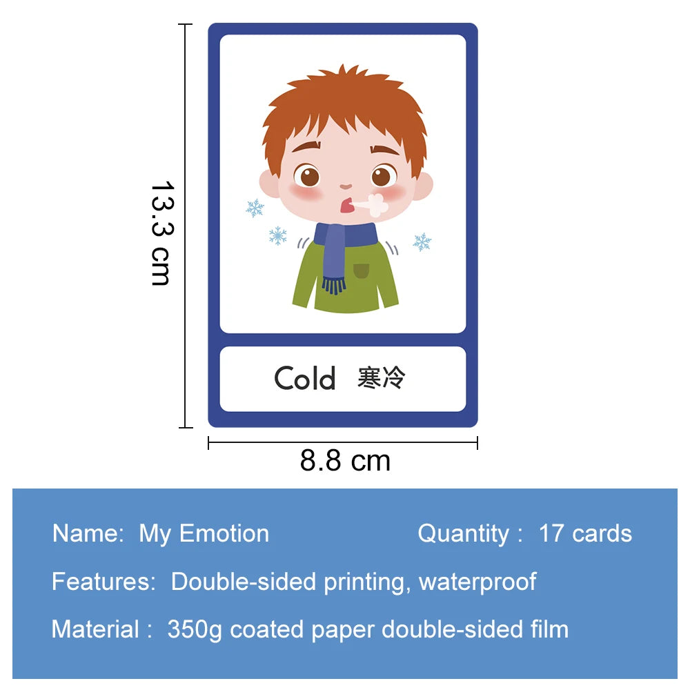 Tarjetas Montessori para Aprender Inglés – Juguetes Educativos para Niños