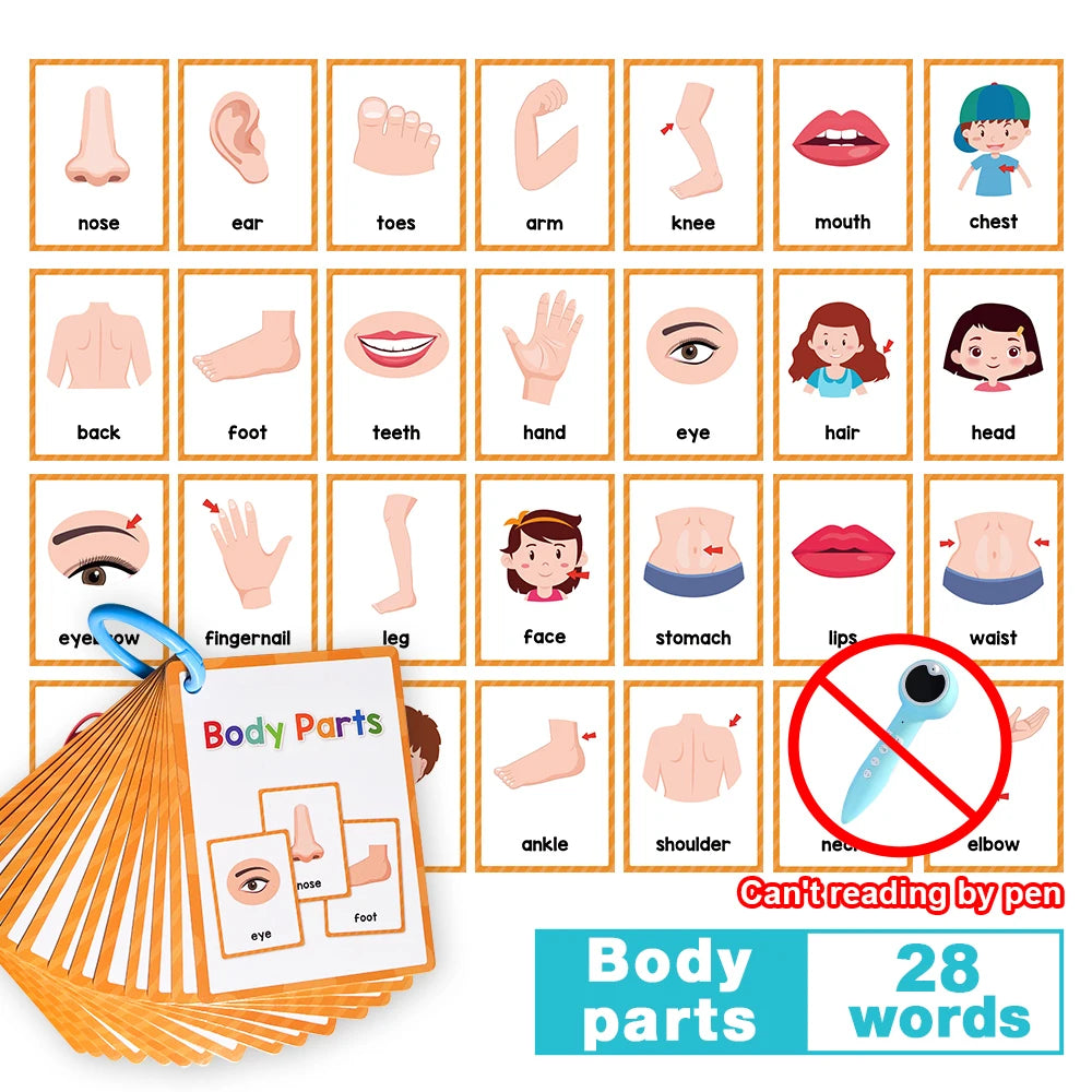 Tarjetas Montessori para Aprender Inglés – Juguetes Educativos para Niños