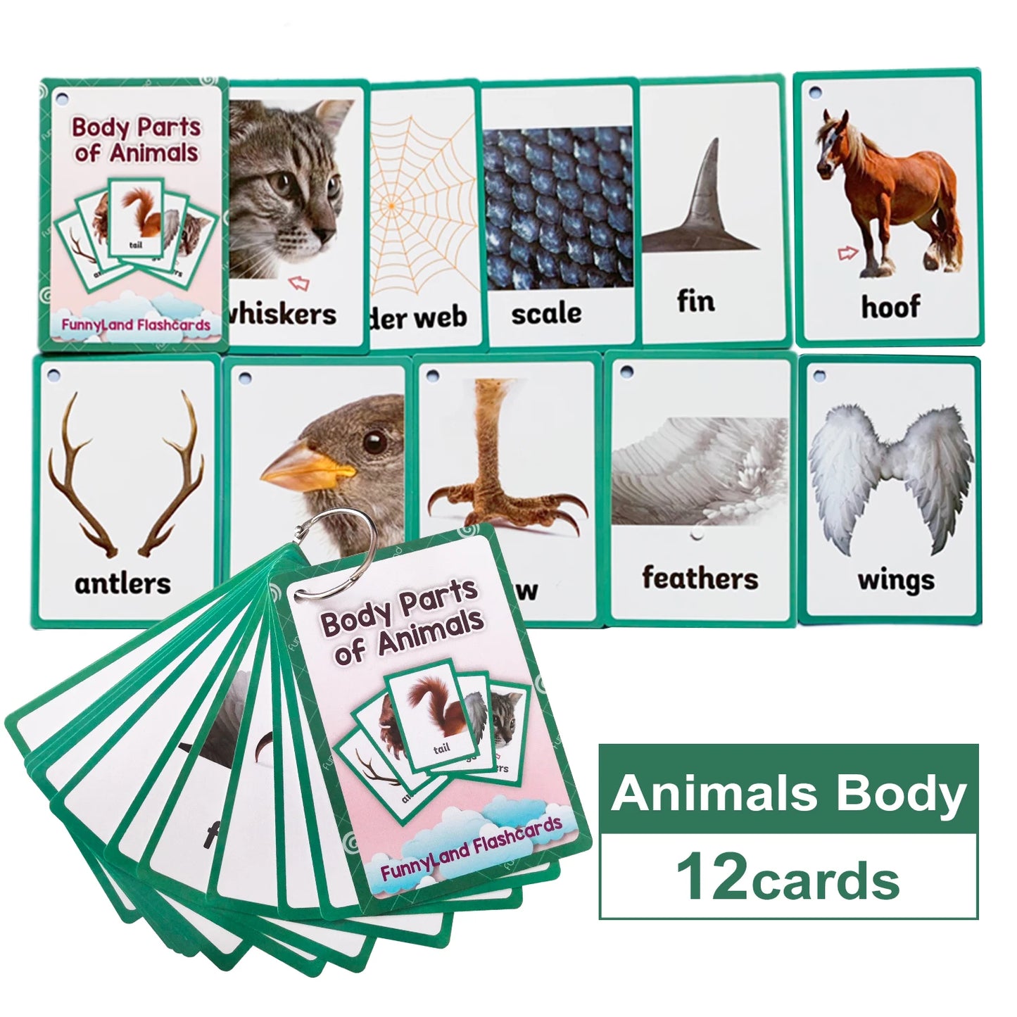 Tarjetas Montessori para Aprender Inglés – Juguetes Educativos para Niños