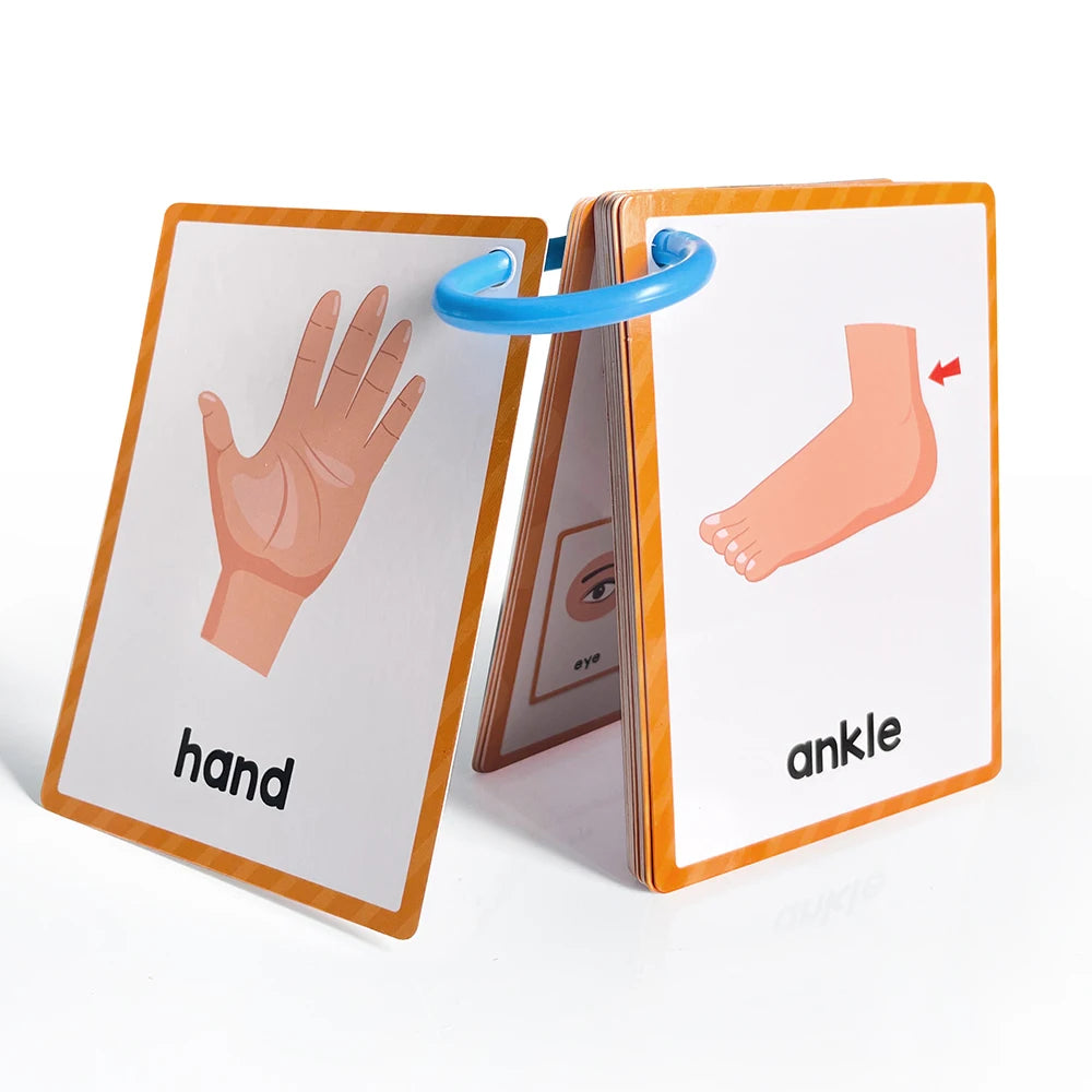 Tarjetas Montessori para Aprender Inglés – Juguetes Educativos para Niños