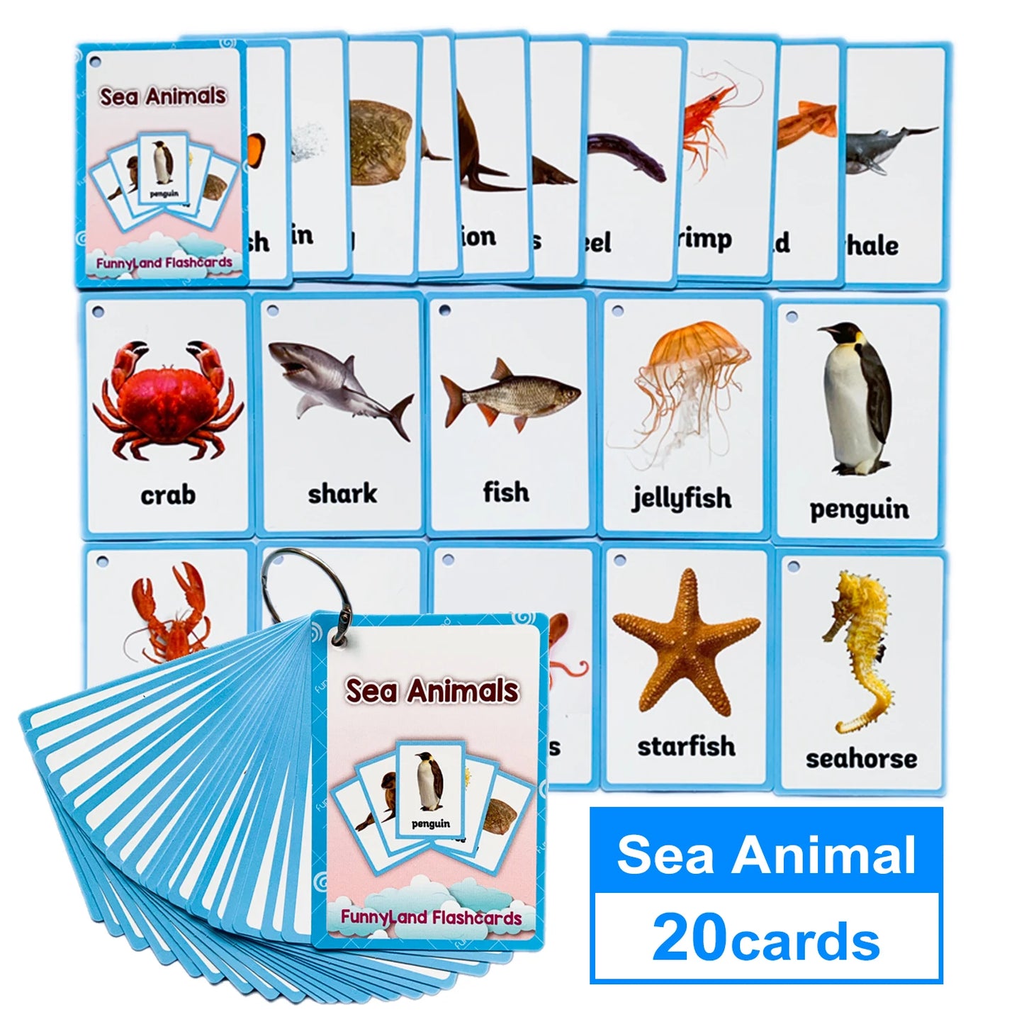 Tarjetas Montessori para Aprender Inglés – Juguetes Educativos para Niños