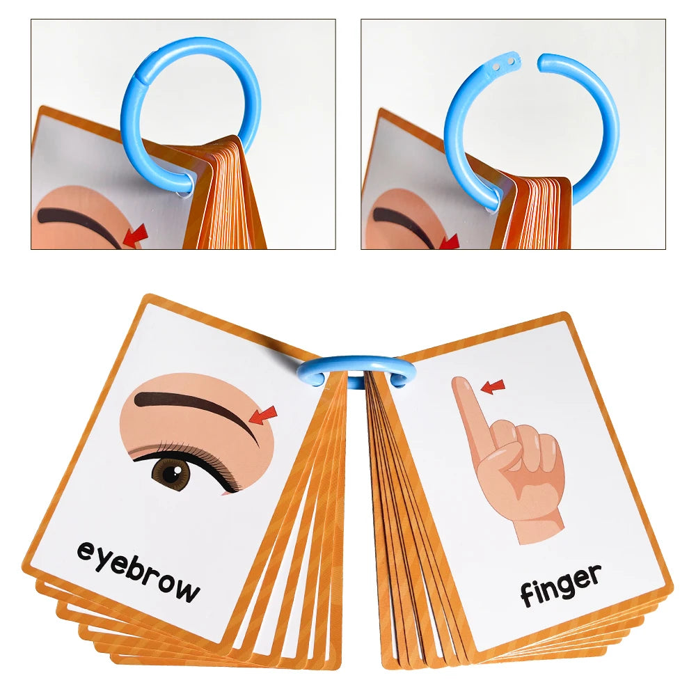 Tarjetas Montessori para Aprender Inglés – Juguetes Educativos para Niños