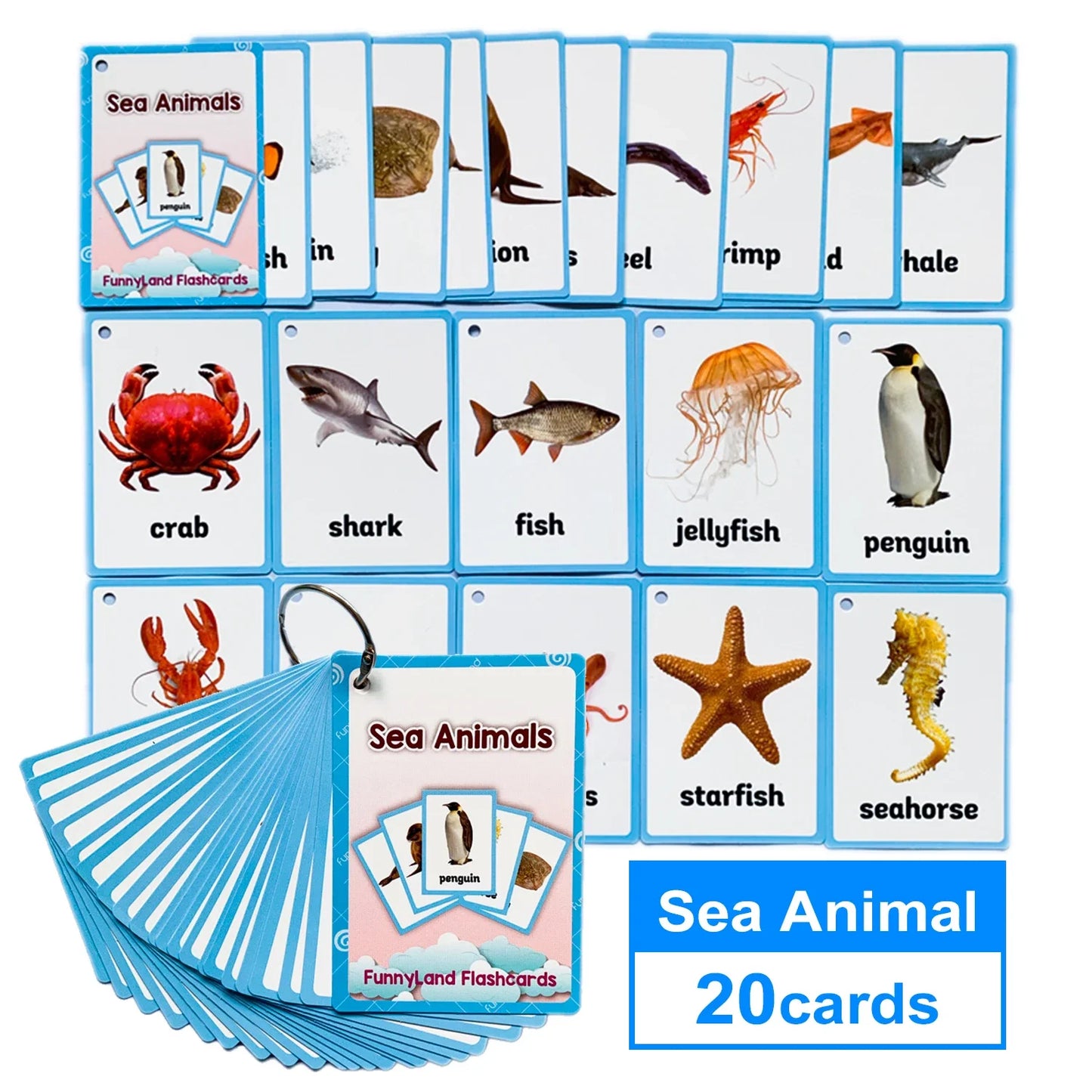 Tarjetas Montessori para Aprender Inglés – Juguetes Educativos para Niños