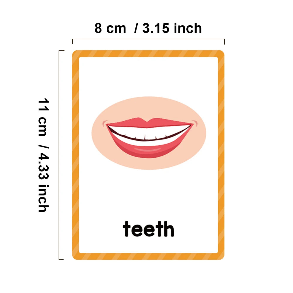 Tarjetas Montessori para Aprender Inglés – Juguetes Educativos para Niños