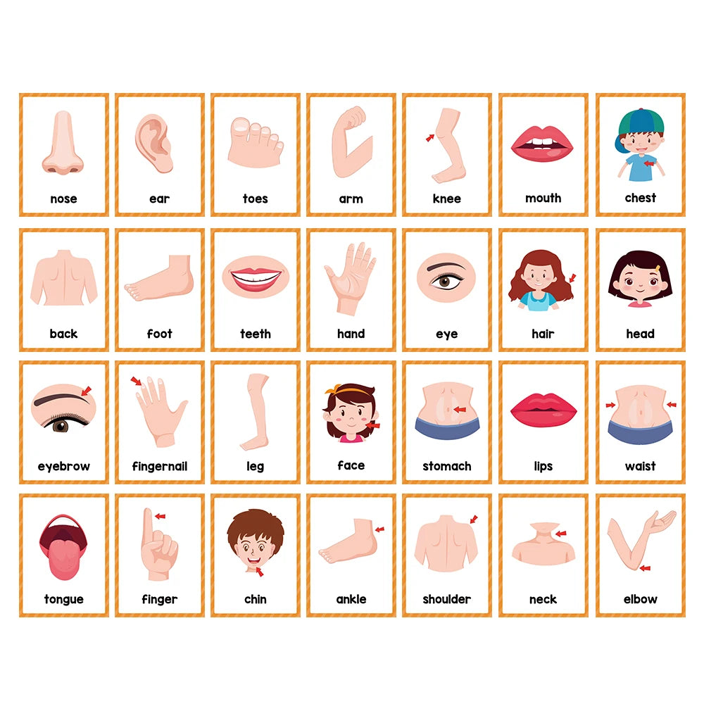 Tarjetas Montessori para Aprender Inglés – Juguetes Educativos para Niños